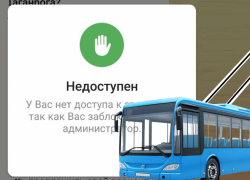 60% таганрожцев выбрали троллейбус: стоит ли ждать? 