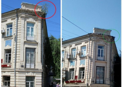 В Таганроге после публикации "Блокнота" с крыши исчезло "дерево-убийца"