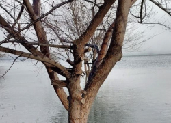 В четверг в Таганроге проведут учения по организации безопасности во время возможного паводка
