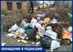 Мусорные кучи в Таганроге живее всех живых