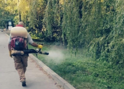 В Таганроге продолжается противоклещевая обработка территорий