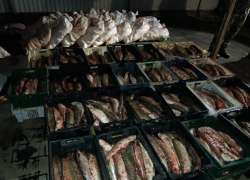 Под Таганрогом изъяли транспортное средство с запрещенным товаром и задержали водителя