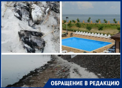 Изнанка отдыха: ужасное зловоние, трупы птиц и рыб увидели таганрожцы за гостиничным комплексом "Кристалл"