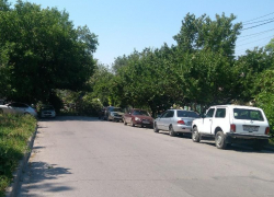 Упавшие деревья перекрыли проезд в центре Таганрога