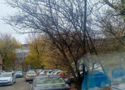 Власти Таганрога отреагировали на транспортный катаклизм у лицея №7