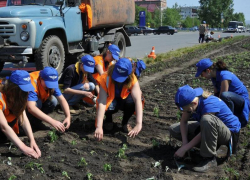 От озеленения города до артиста: таганрогским подросткам предлагают работу
