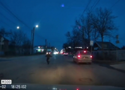 Ребёнок рисковал жизнью ради раненой собаки в Таганроге