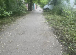  Траву у детского сада Таганрога покосили, но упавшие деревья оставили