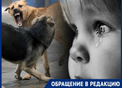 Свора собак средь бела дня прямо в центре города напала на школьницу
