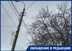 "Они опять ждут, когда беда будет?": ветки на проводах напугали таганроженку 