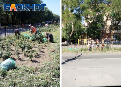 В Таганроге на ул. Дзержинского взялись за розы
