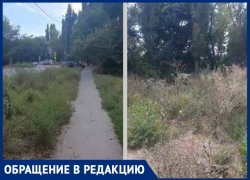 Таганроженка показала траву, в жизни не видавшую газонокосилку