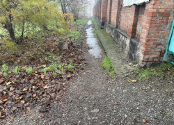 Ходим "лисичьими тропами": поход в магазин в промзоне Таганрога превращается в экстрим