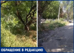 Горожане о Таганроге: «Как будто в забытом Богом городе живём»