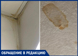  Крыша течет, а капитальный ремонт всё не происходит в пятиэтажке Таганрога