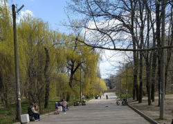 Бьют остановки и рушат скверы: таганрожцы для борьбы с вандалами требуют установить камеры с ИИ