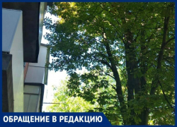 Жильцы района Свободы не могут дождаться помощи от МКУ «Благоустройство» на протяжении года