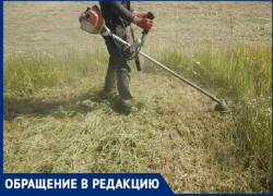 Жители Военного городка так и не дождались покоса травы