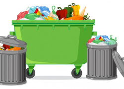 Мусор Таганрога: кто за что отвечает? 