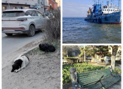 Таганрогский порт готовят к приёму круизных лайнеров, но звать гостей в город всё ещё стыдно