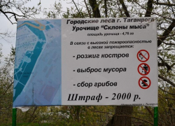 Уборка лесов Таганрога обходится почти в 600 тыс. рублей 