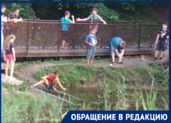 В Таганроге жестокие дети ловят на удочки черепах в роще Дубки