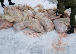 В Таганроге задержан мужчина, наловивший рыбы почти на 2 млн рублей