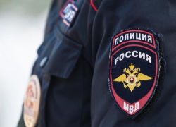 Полиция Таганрога не желает иметь дело с живодерами