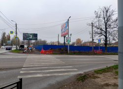 В Таганроге вырубят 15 деревьев ради стройки