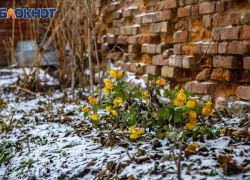 3 декабря: День Прокла и важные предостережения для таганрожцев 