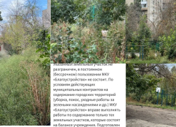 Заросли выше человеческого роста: таганроженка сообщила о заброшенной спортплощадке, а в ответ получила отписку от властей