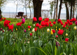  Парку "Станция Морская" 4 года! Приезжайте праздновать 26 апреля!