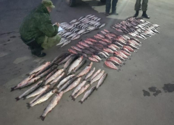 Браконьера с уловом на 2 млн задержали в хуторе Красный Пахарь Неклиновского района