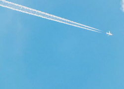 Хлопок в Таганроге: «поводов для переживаний нет»