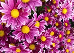 Товар дня: скидка на тур в Крым