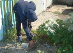 Банда, оставлявшая "закладки" в Таганроге, предстанет перед судом