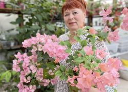 Как получить 1000% прибыли, инвестируя в свои растения