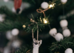 Собранные елки дошли до адресатов 