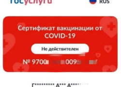 Просроченные  QR-коды: сбой на Госуслугах или новые сроки действия сертификатов