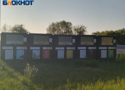 Таганрожцы могут проголосовать за места установки баков для раздельного сбора мусора