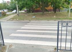 Ужасы нашего городка: зебра в Таганроге упирается почти...в огород