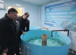 В Ростовской области обсудили проблемы и перспективы водных биоресурсов в бассейне Азовского моря