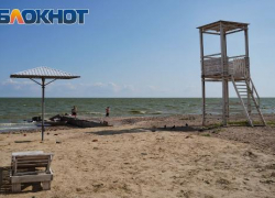 В Таганроге начали готовить пляжи к купальному сезону: обработка от клещей, очистка дна и свежий песок