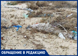 "Как можно так загадить": пляж в селе под Таганрогом превратился в жуткую свалку