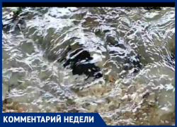 В фонтанах из питьевой воды есть вина администрации Таганрога