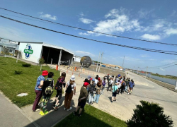 Школьников Таганрога приобщают к раздельному сбору мусора