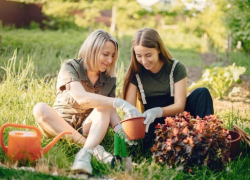 Около полутысячи подростков трудоустроено в Таганроге с начала лета 