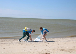 На берегу Таганрогского залива прошла экологическая акция