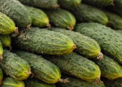 Огурцы снова могут взлететь в цене, а ряд продуктов исчезнуть с полок магазинов