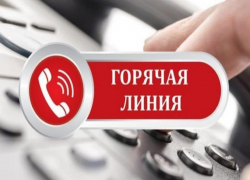 Вопросов о выплатах и пособиях ждут сегодня от таганрогских семей с детьми на "горячей линии" 